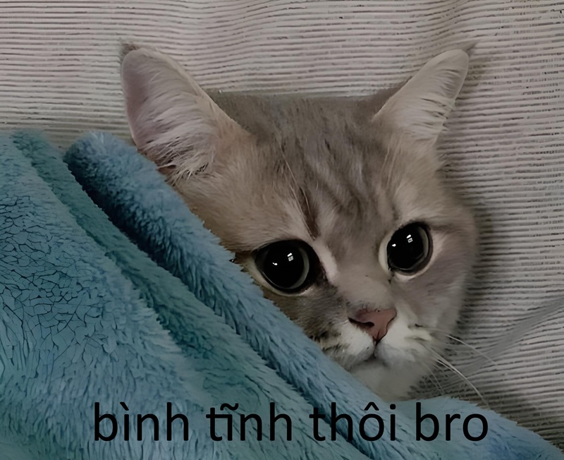 meme bình tĩnh 26