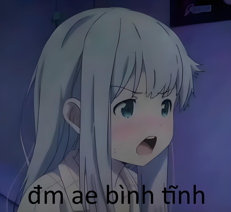 meme bình tĩnh 29