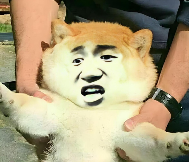 meme bình tĩnh nào