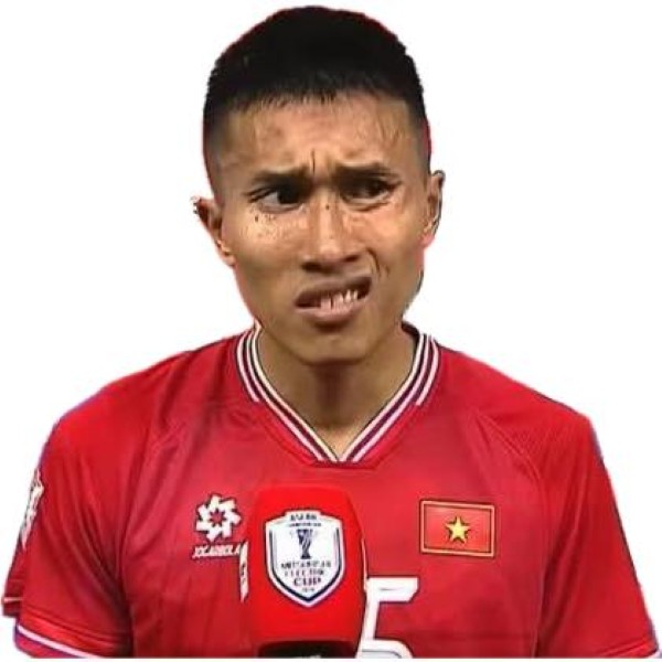 meme bóng đá việt nam