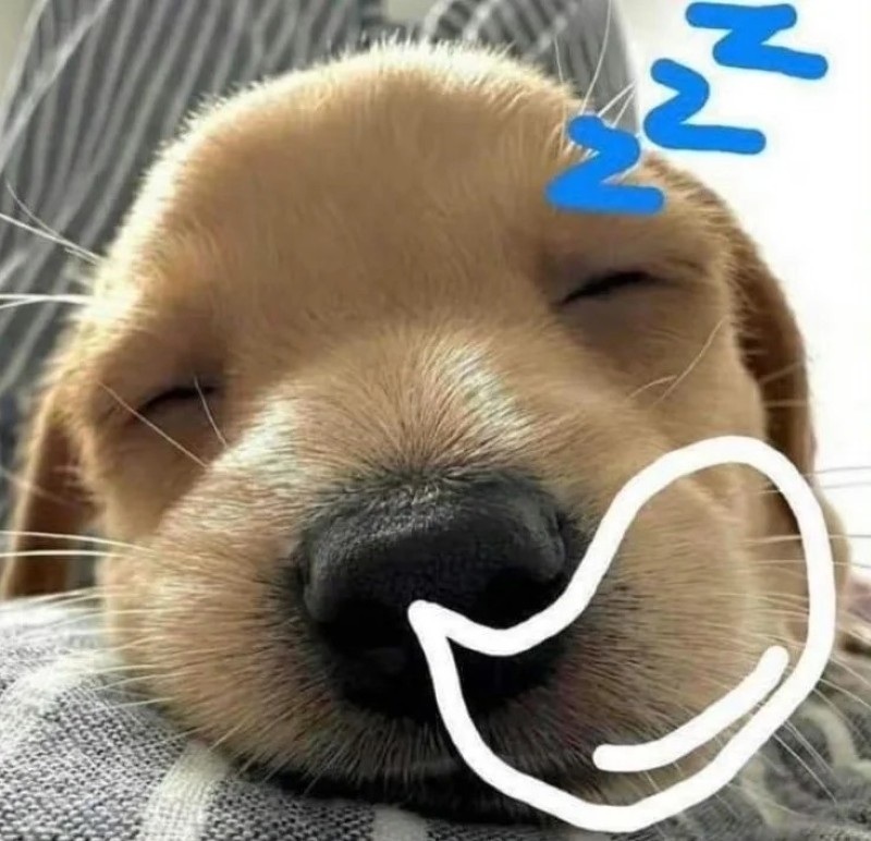meme buồn ngủ 31