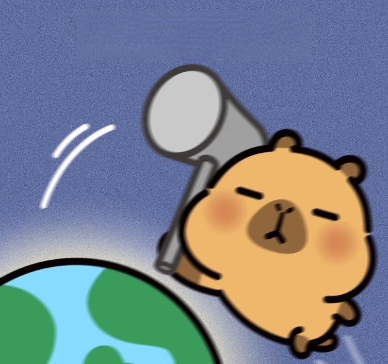meme capybara 10