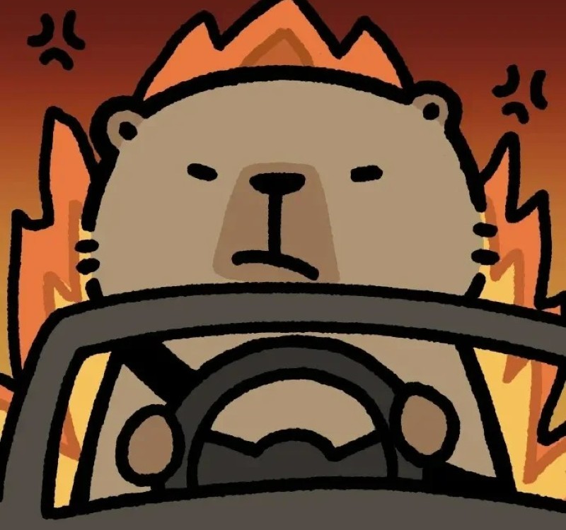 meme capybara 11