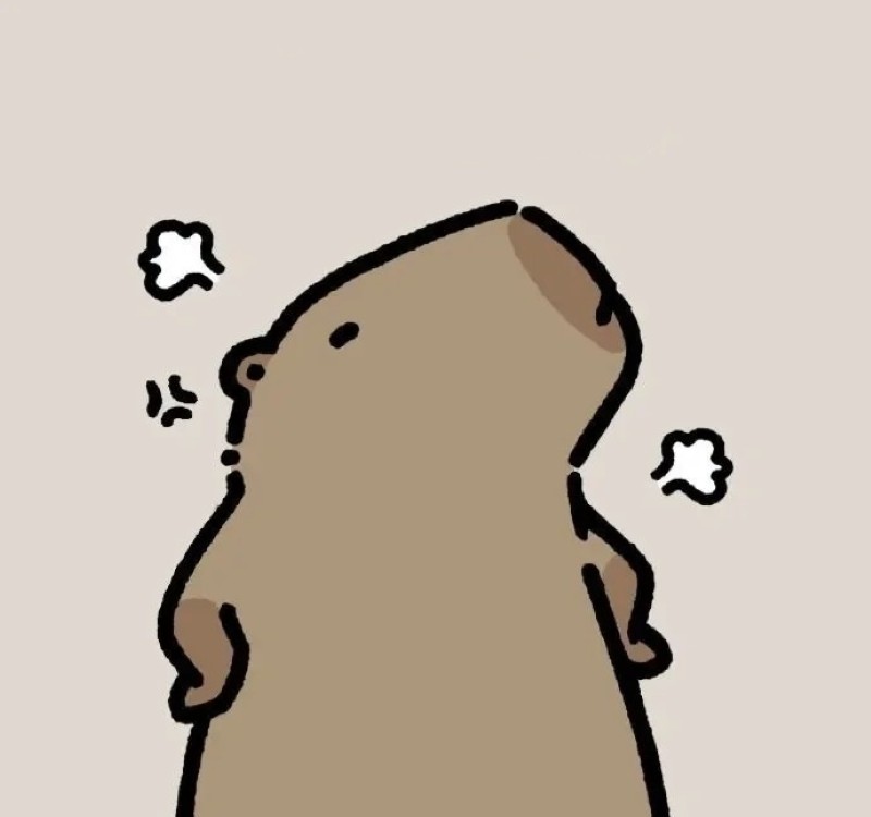 meme capybara 12