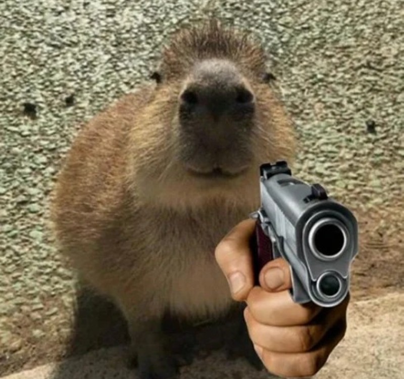 meme capybara 16