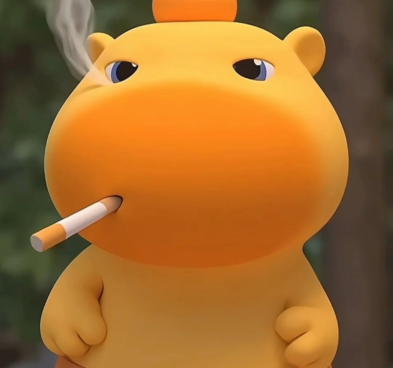 meme capybara 22