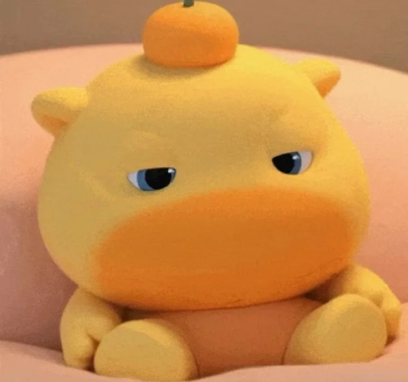 meme capybara 24