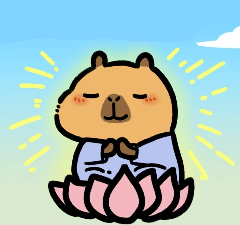 meme capybara 31