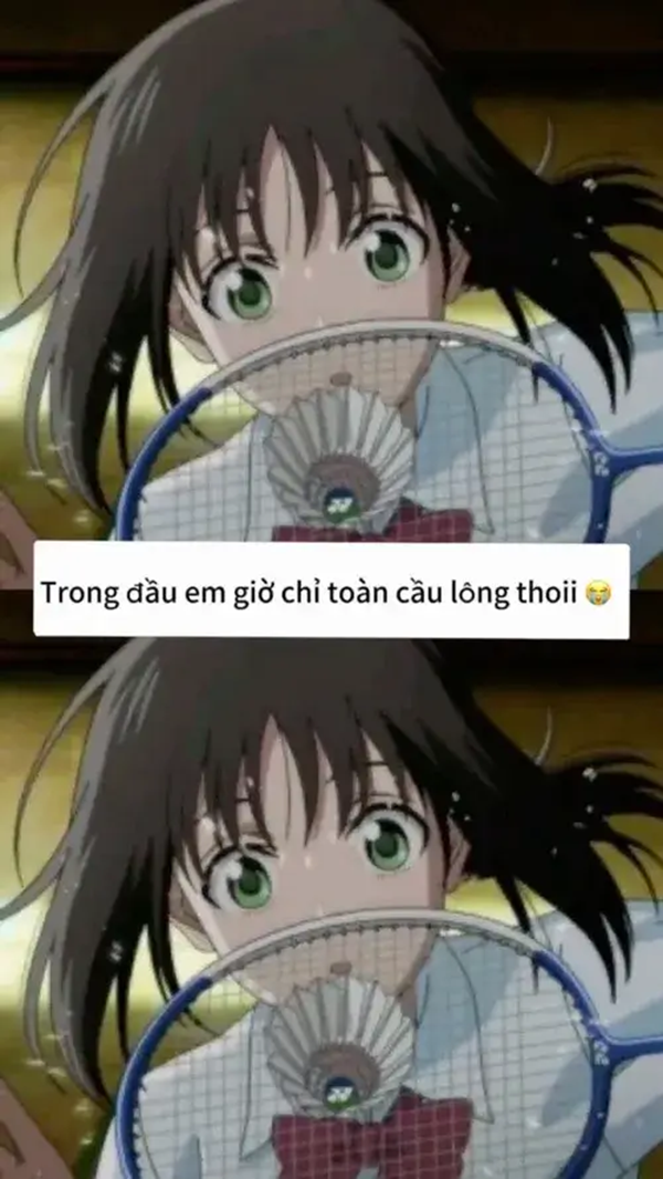 meme cầu lông 30