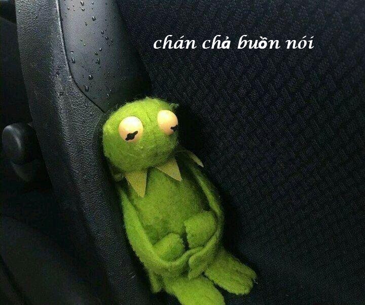 meme chán chả buồn nói 1