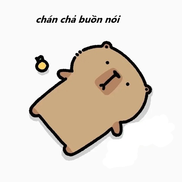 meme chán chả buồn nói 11