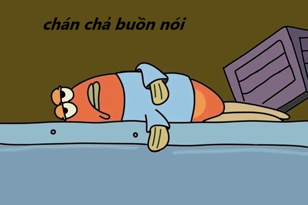meme chán chả buồn nói 13
