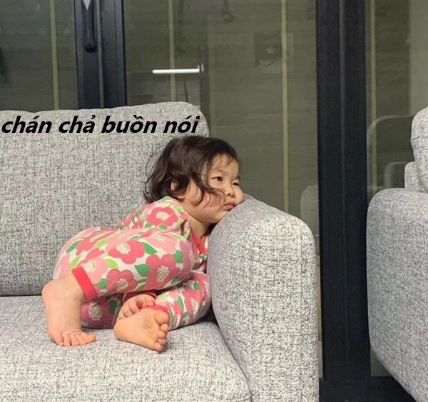 meme chán chả buồn nói 14