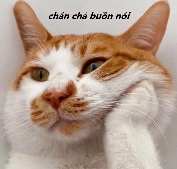 meme chán chả buồn nói 20