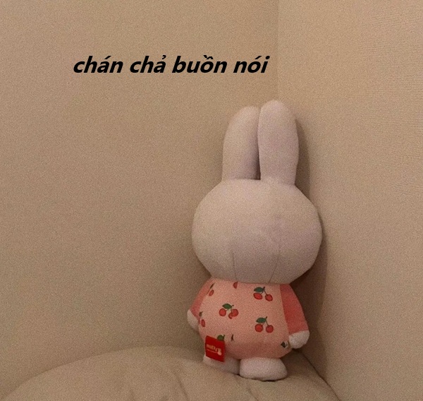 meme chán chả buồn nói 22