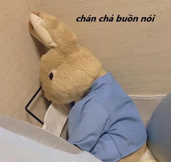 meme chán chả buồn nói 23