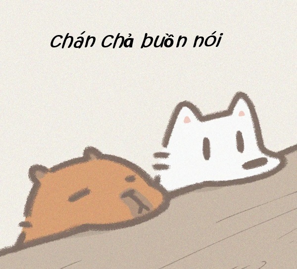 meme chán chả buồn nói 24