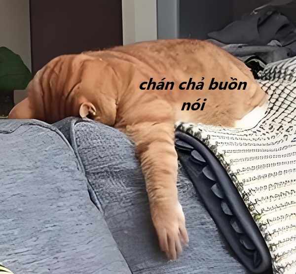 meme chán chả buồn nói 26