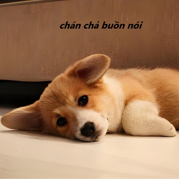 meme chán chả buồn nói 27