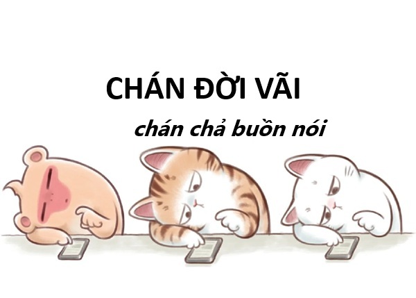 meme chán chả buồn nói 7