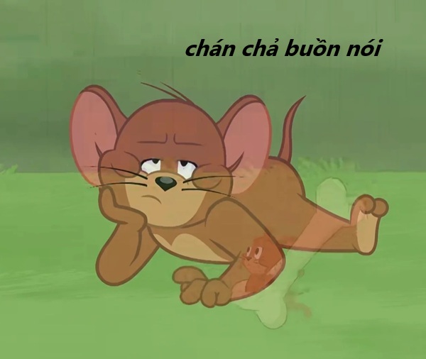 meme chán chả buồn nói 9