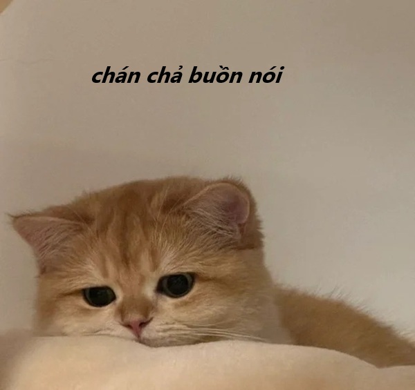 meme chán không muốn nói