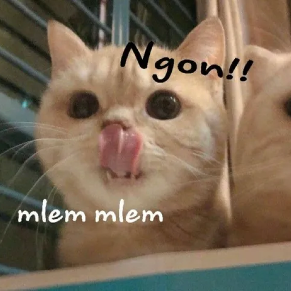 meme chảy nước miếng 2