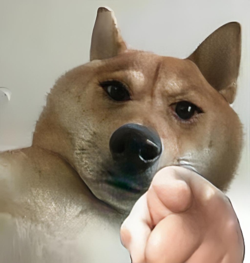 meme chỉ 4