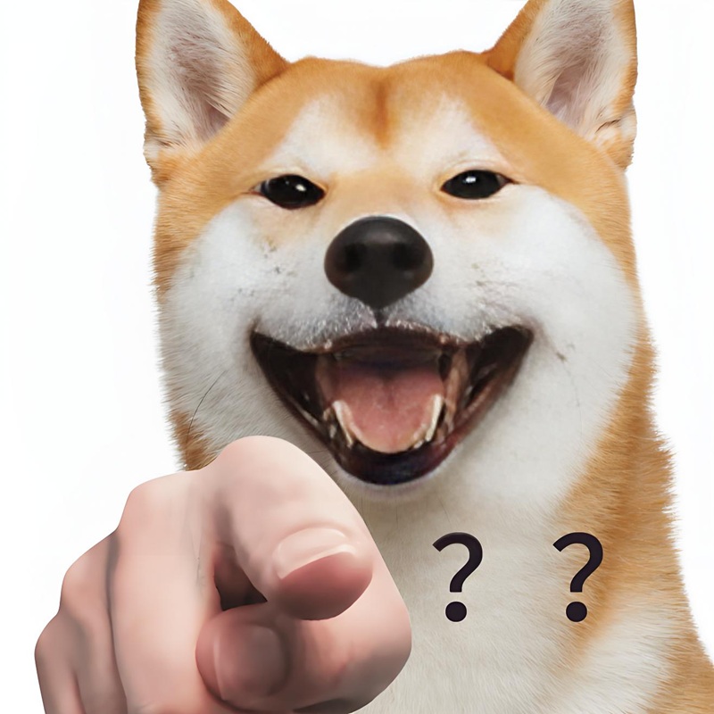 meme chỉ 9