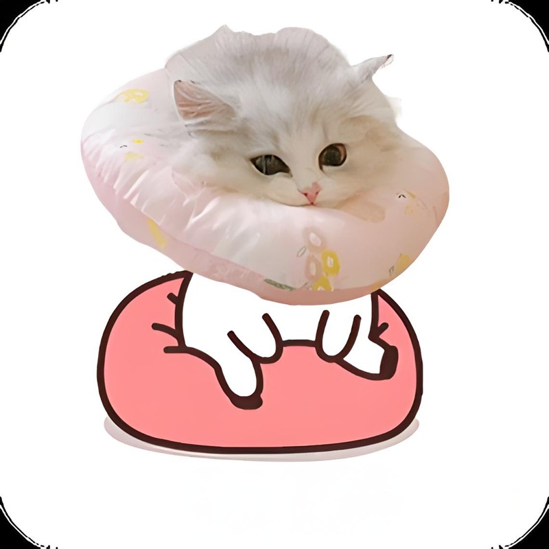 meme chờ đợi 26