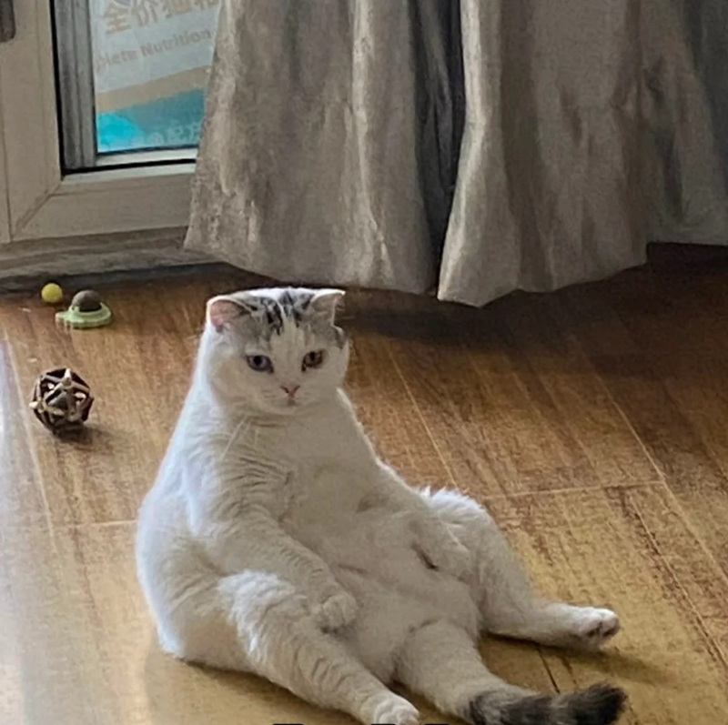 meme chờ đợi 33