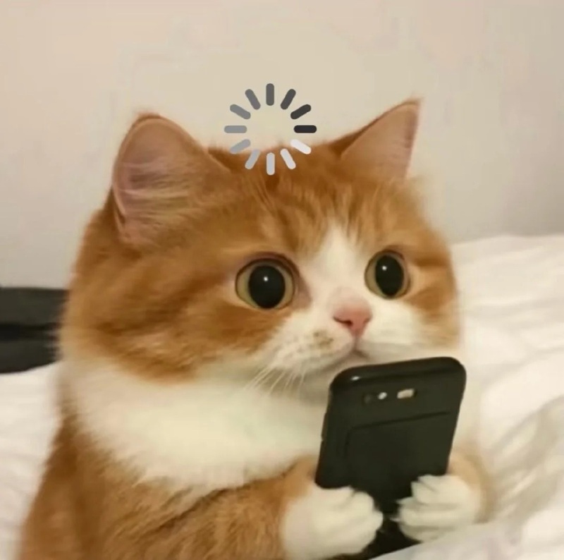 meme chờ đợi 37