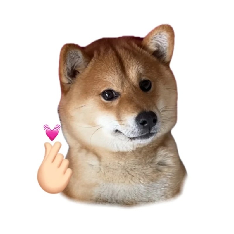 meme chó shiba 16