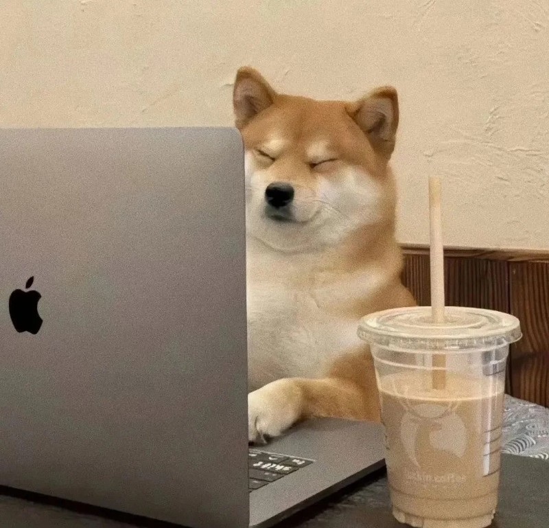 meme chó shiba 3