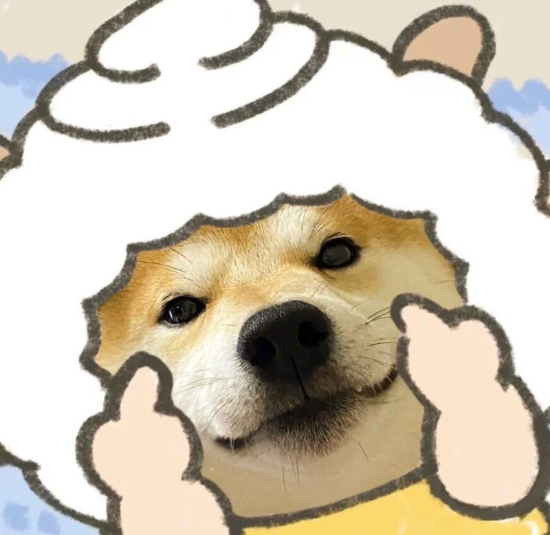 meme chó shiba cười