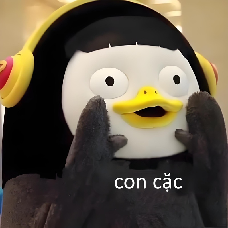 meme chửi tục 20