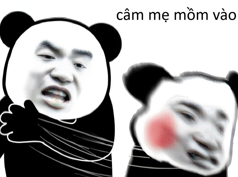meme chửi tục 25