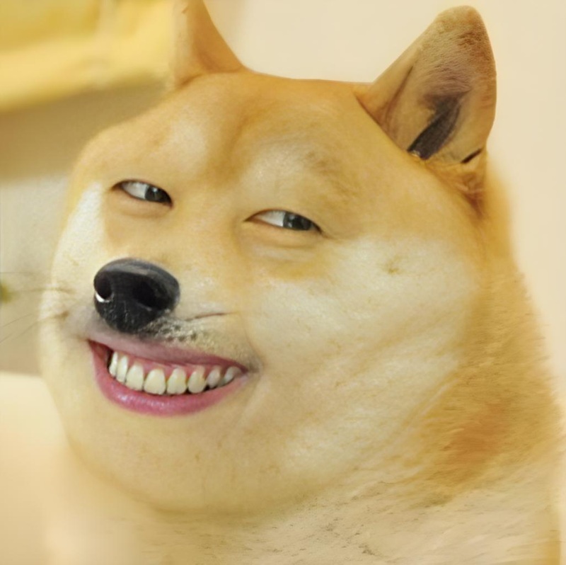 meme cười nham hiểm 17