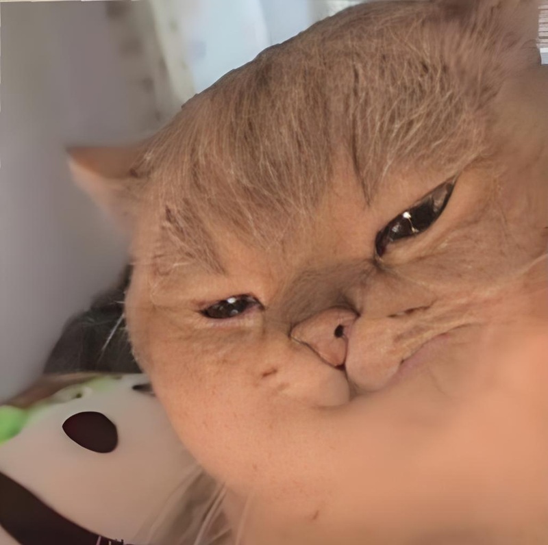 meme cười nham hiểm 3
