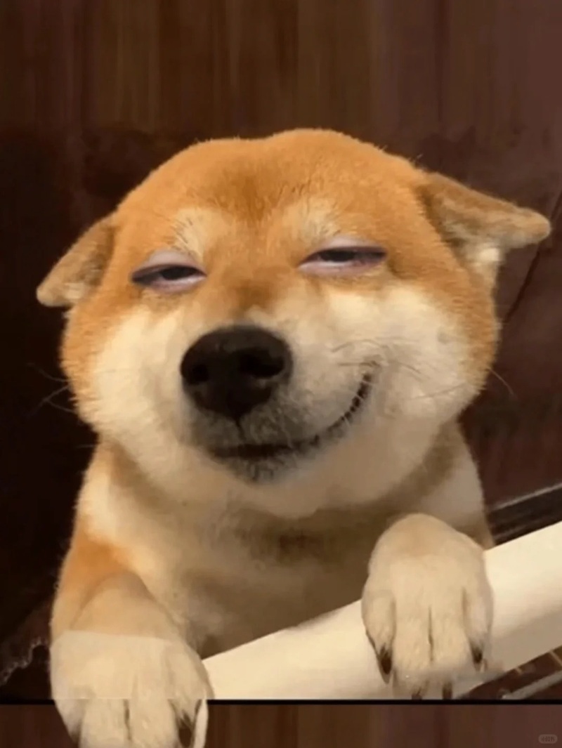 meme cười nham hiểm 37