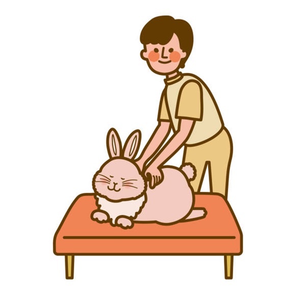 2023年賀素材 うさぎと整体師Clip art of rabbit and osteopath 2023年賀素材 うさぎと整体師Clip art of rabbit and osteopath