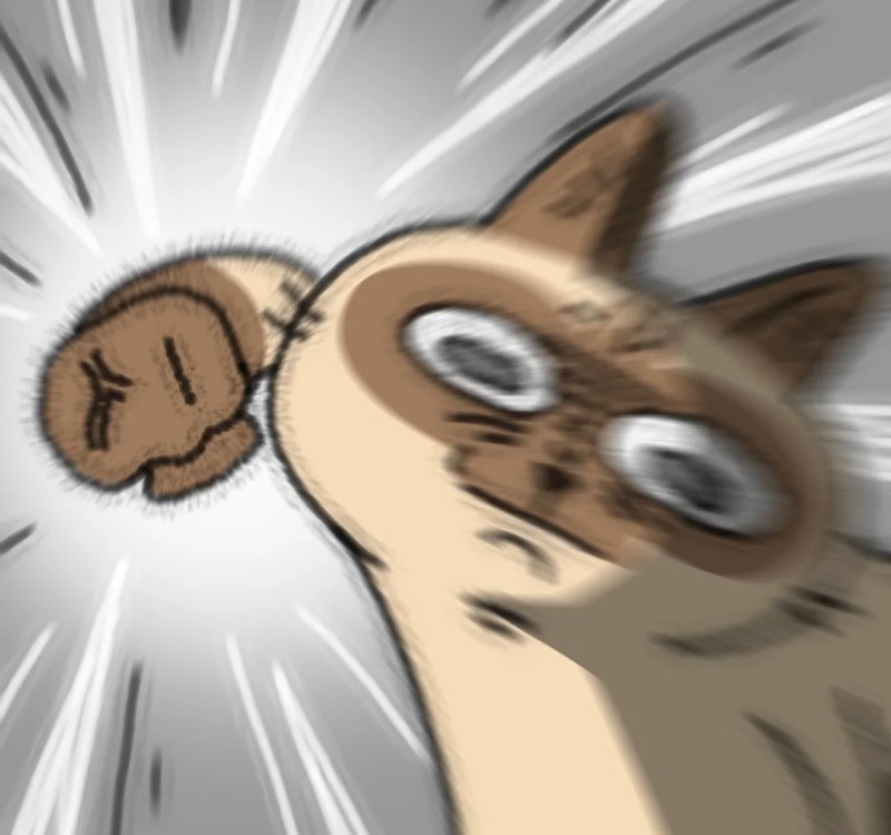 meme đấm nhau 1