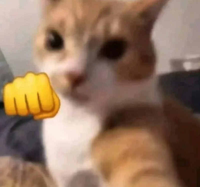 meme đấm nhau 21