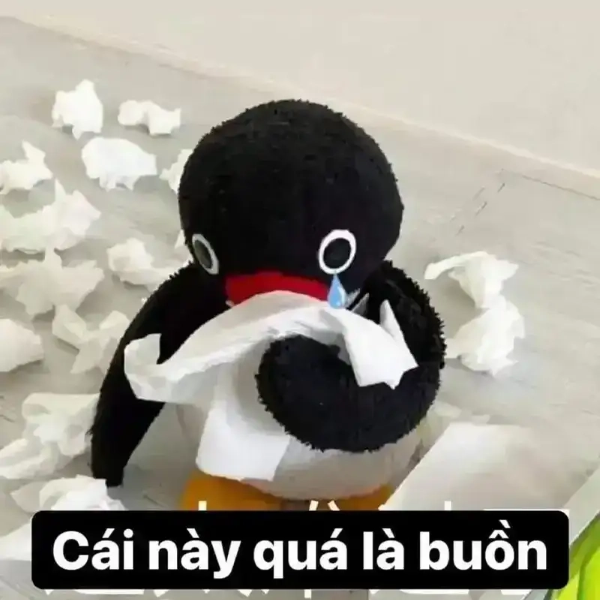 meme đau khổ 12