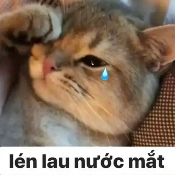 meme đau khổ 19
