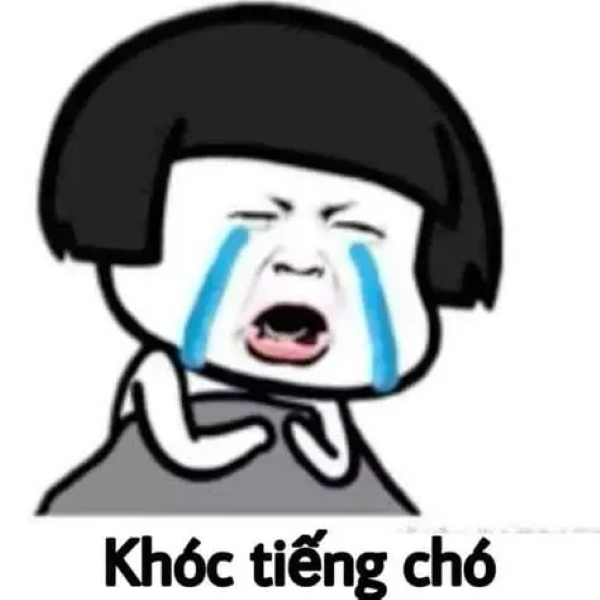 meme đau khổ 23