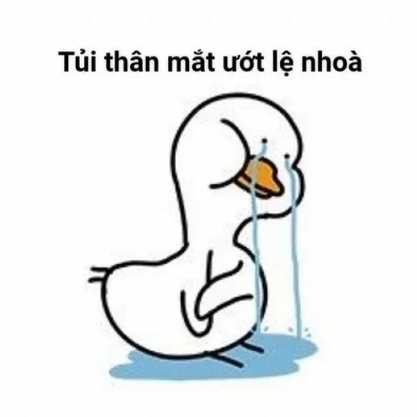 meme đau khổ 39