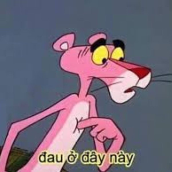 xr:d:DAFyKIM7B5U:4,j:8183447516073220449,t:23102408