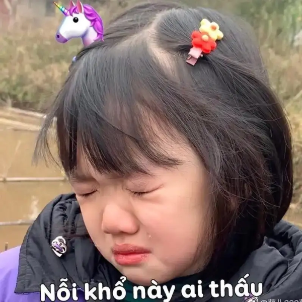 meme đau khổ 9