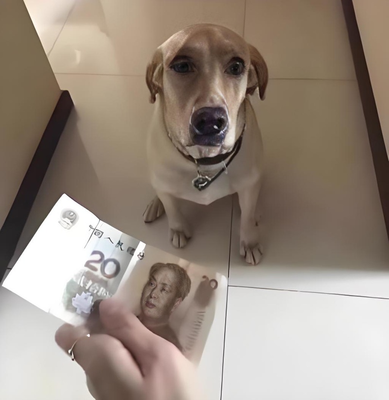 meme đưa tiền 18